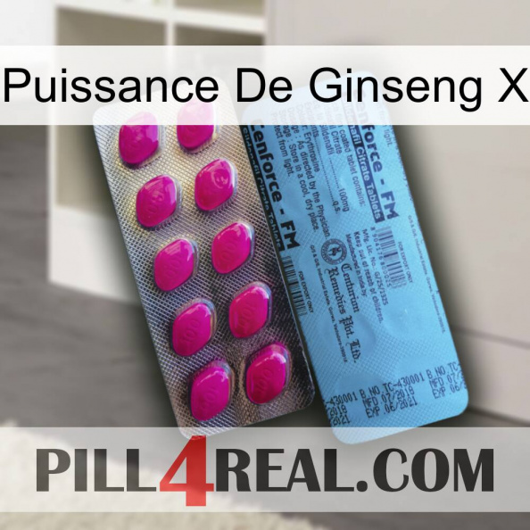 Ginseng Power X 35.jpg